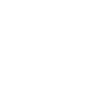 Promise